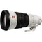 Sony FE 300mm f/2.8 GM OSS Lens (SEL300F28GM)