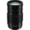 Panasonic Lumix G Vario 100-300mm f/4-5.6 II POWER O.I.S. Lens